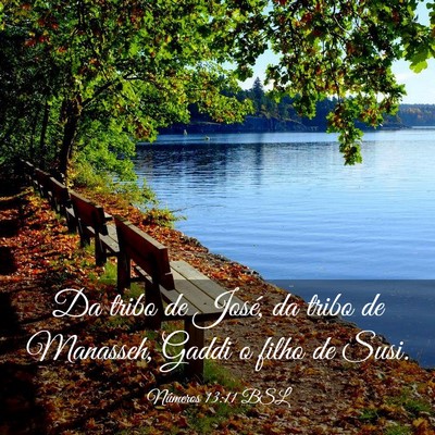 Picture 03 - Números 13:11 BSL - Da tribo de José, da tribo de Manasseh, Gaddi o - Bible Verse Picture