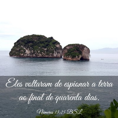 Picture 03 - Números 13:25 BSL - Eles voltaram de espionar a terra ao final de - Bible Verse Picture