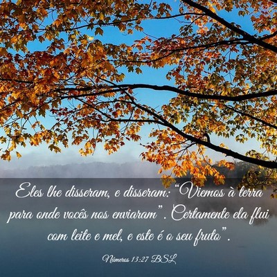 Picture 03 - Números 13:27 BSL - Eles lhe disseram, e disseram: “Viemos à terra - Bible Verse Picture