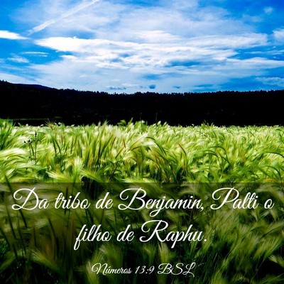 Picture 03 - Números 13:9 BSL - Da tribo de Benjamin, Palti o filho de - Bible Verse Picture