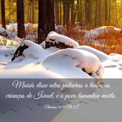 Picture 03 - Números 14:39 BSL - Moisés disse estas palavras a todas as crianças - Bible Verse Picture