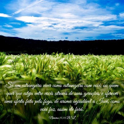 Picture 03 - Números 15:14 BSL - Se um estrangeiro viver como estrangeiro com - Bible Verse Picture