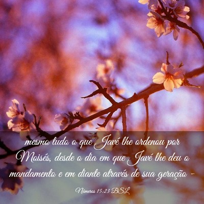 Picture 03 - Números 15:23 BSL - mesmo tudo o que Javé lhe ordenou por Moisés, - Bible Verse Picture