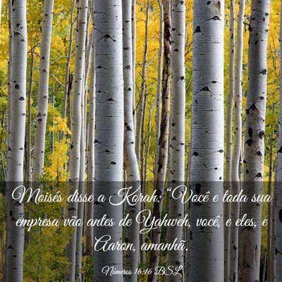 Picture 03 - Números 16:16 BSL - Moisés disse a Korah: “Você e toda sua - Bible Verse Picture