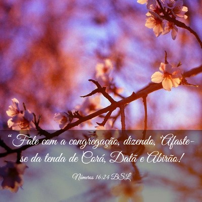 Picture 03 - Números 16:24 BSL - “Fale com a congregação, dizendo, 'Afaste-se - Bible Verse Picture
