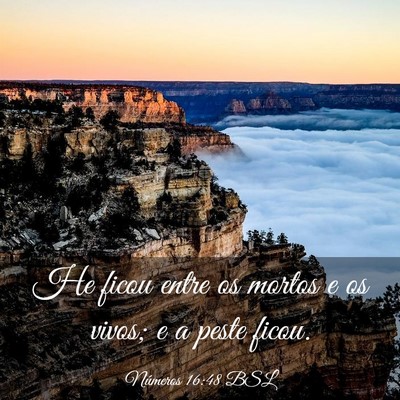 Picture 03 - Números 16:48 BSL - He ficou entre os mortos e os vivos; e a peste - Bible Verse Picture