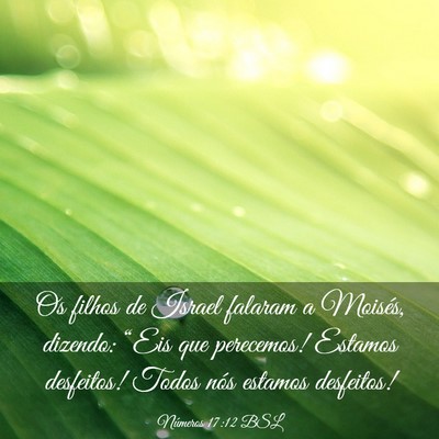 Picture 03 - Números 17:12 BSL - Os filhos de Israel falaram a Moisés, dizendo: - Bible Verse Picture