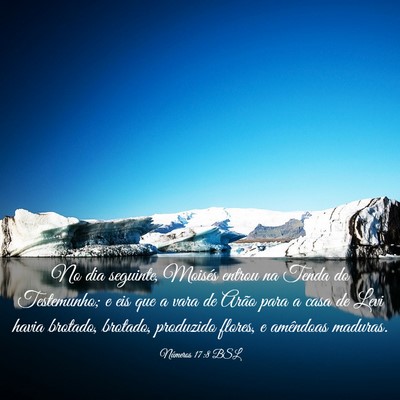Picture 03 - Números 17:8 BSL - No dia seguinte, Moisés entrou na Tenda do - Bible Verse Picture