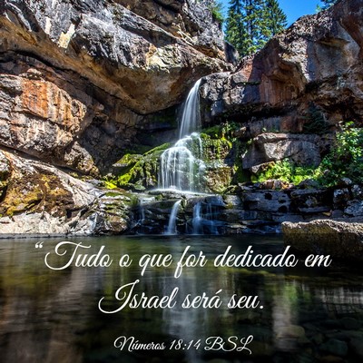 Picture 03 - Números 18:14 BSL - “Tudo o que for dedicado em Israel será - Bible Verse Picture