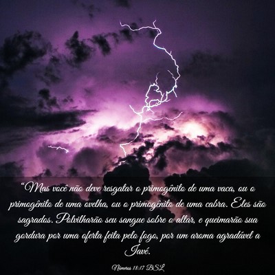 Picture 03 - Números 18:17 BSL - “Mas você não deve resgatar o primogênito de - Bible Verse Picture