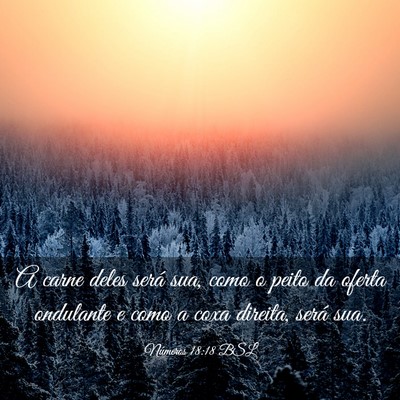 Picture 03 - Números 18:18 BSL - A carne deles será sua, como o peito da oferta - Bible Verse Picture