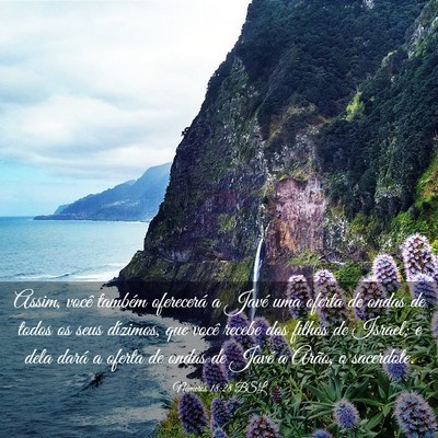 Picture 03 - Números 18:28 BSL - Assim, você também oferecerá a Javé uma - Bible Verse Picture