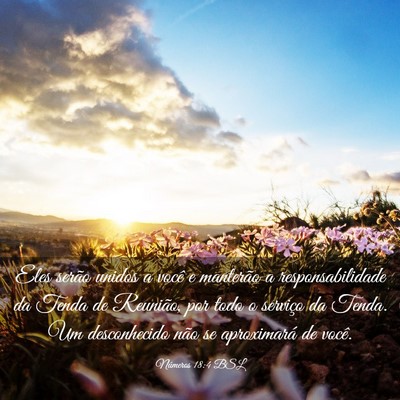 Picture 03 - Números 18:4 BSL - Eles serão unidos a você e manterão a - Bible Verse Picture
