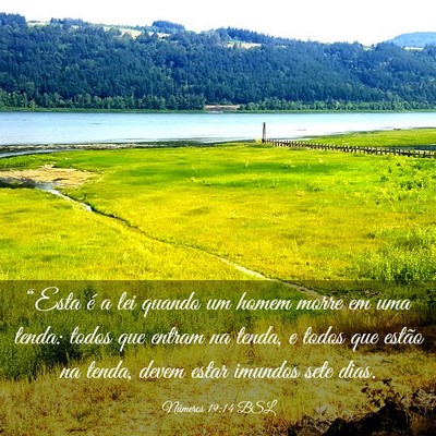 Picture 03 - Números 19:14 BSL - “Esta é a lei quando um homem morre em uma - Bible Verse Picture