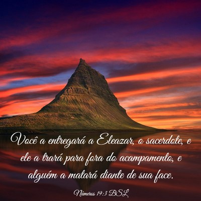 Picture 03 - Números 19:3 BSL - Você a entregará a Eleazar, o sacerdote, e ele - Bible Verse Picture
