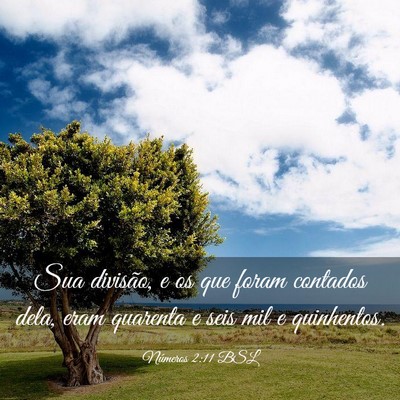 Picture 03 - Números 2:11 BSL - Sua divisão, e os que foram contados dela, eram - Bible Verse Picture