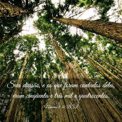 Picture 03 - Números 2:30 BSL - Sua divisão, e os que foram contados deles, eram - Bible Verse Picture
