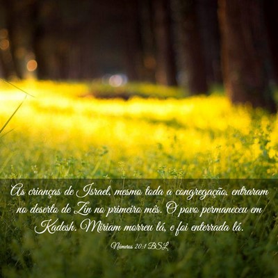 Picture 03 - Números 20:1 BSL - As crianças de Israel, mesmo toda a - Bible Verse Picture