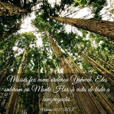 Picture 03 - Números 20:27 BSL - Moisés fez como ordenou Yahweh. Eles subiram ao - Bible Verse Picture