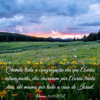 Picture 03 - Números 20:29 BSL - Quando toda a congregação viu que Aarão estava - Bible Verse Picture