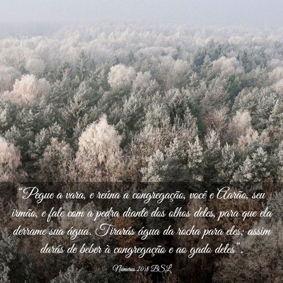 Picture 03 - Números 20:8 BSL - “Pegue a vara, e reúna a congregação, você - Bible Verse Picture