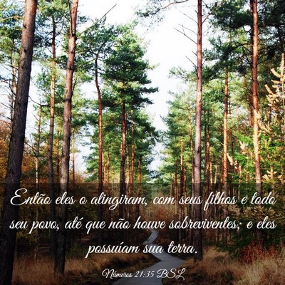 Picture 03 - Números 21:35 BSL - Então eles o atingiram, com seus filhos e todo - Bible Verse Picture