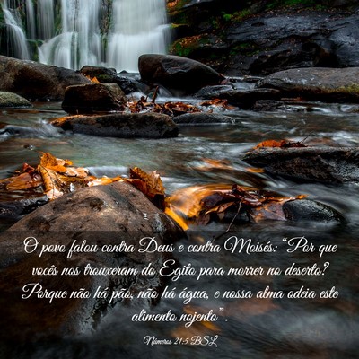 Picture 03 - Números 21:5 BSL - O povo falou contra Deus e contra Moisés: “Por - Bible Verse Picture