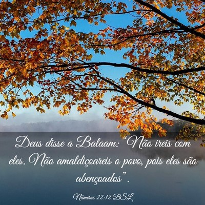Picture 03 - Números 22:12 BSL - Deus disse a Balaam: “Não ireis com eles. Não - Bible Verse Picture