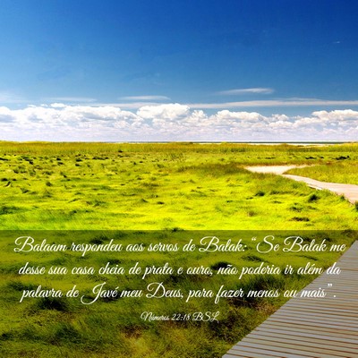 Picture 03 - Números 22:18 BSL - Balaam respondeu aos servos de Balak: “Se Balak - Bible Verse Picture