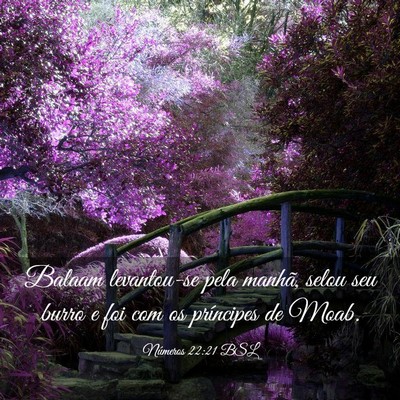 Picture 03 - Números 22:21 BSL - Balaam levantou-se pela manhã, selou seu burro e - Bible Verse Picture