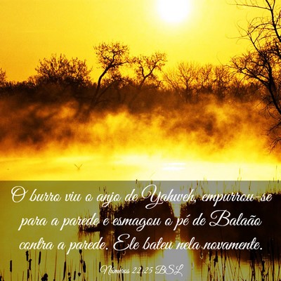 Picture 03 - Números 22:25 BSL - O burro viu o anjo de Yahweh, empurrou-se para a - Bible Verse Picture