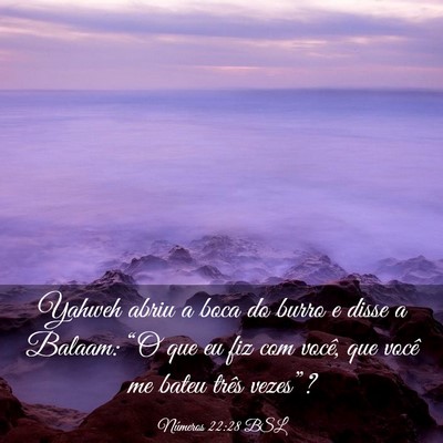 Picture 03 - Números 22:28 BSL - Yahweh abriu a boca do burro e disse a Balaam: - Bible Verse Picture