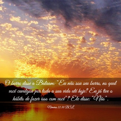 Picture 03 - Números 22:30 BSL - O burro disse a Balaam: “Eu não sou seu burro, - Bible Verse Picture