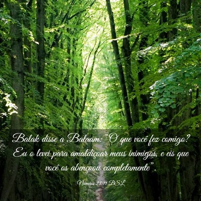 Picture 03 - Números 23:11 BSL - Balak disse a Balaam: “O que você fez comigo? - Bible Verse Picture