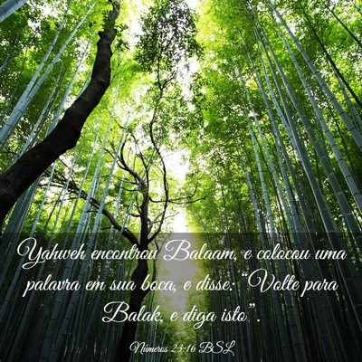 Picture 03 - Números 23:16 BSL - Yahweh encontrou Balaam, e colocou uma palavra em - Bible Verse Picture