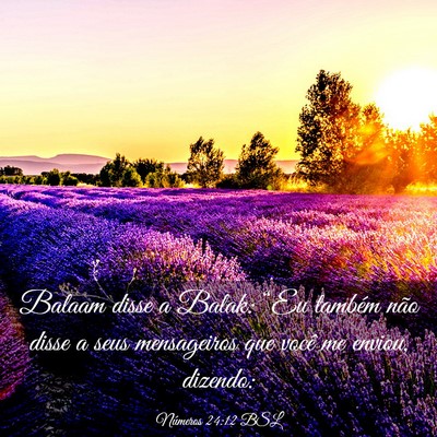 Picture 03 - Números 24:12 BSL - Balaam disse a Balak: “Eu também não disse a - Bible Verse Picture