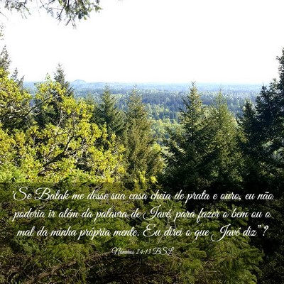 Picture 03 - Números 24:13 BSL - 'Se Balak me desse sua casa cheia de prata e - Bible Verse Picture