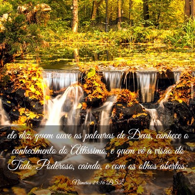 Picture 03 - Números 24:16 BSL - ele diz, quem ouve as palavras de Deus, conhece o - Bible Verse Picture