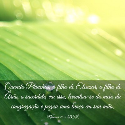 Picture 03 - Números 25:7 BSL - Quando Phinehas, o filho de Eleazar, o filho de - Bible Verse Picture