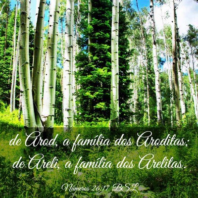 Picture 03 - Números 26:17 BSL - de Arod, a família dos Aroditas; de Areli, a - Bible Verse Picture