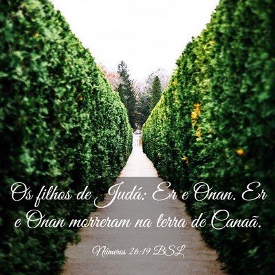 Picture 03 - Números 26:19 BSL - Os filhos de Judá: Er e Onan. Er e Onan morreram - Bible Verse Picture