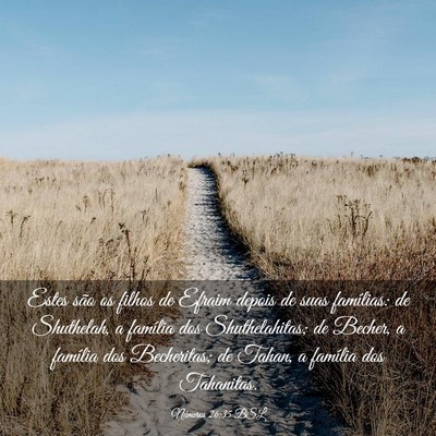 Picture 03 - Números 26:35 BSL - Estes são os filhos de Efraim depois de suas - Bible Verse Picture