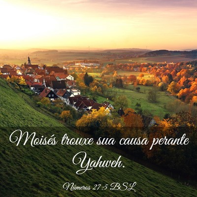 Picture 03 - Números 27:5 BSL - Moisés trouxe sua causa perante - Bible Verse Picture
