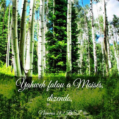 Picture 03 - Números 28:1 BSL - Yahweh falou a Moisés, - Bible Verse Picture