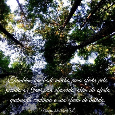 Picture 03 - Números 28:15 BSL - Também, um bode macho para oferta pelo pecado a - Bible Verse Picture