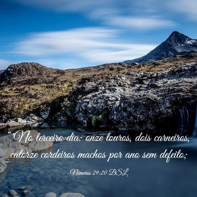 Picture 03 - Números 29:20 BSL - “'No terceiro dia: onze touros, dois carneiros, - Bible Verse Picture