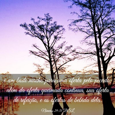 Picture 03 - Números 29:31 BSL - e um bode macho para uma oferta pelo pecado; - Bible Verse Picture