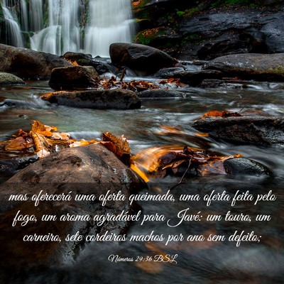 Picture 03 - Números 29:36 BSL - mas oferecerá uma oferta queimada, uma oferta - Bible Verse Picture