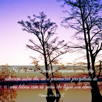 Picture 03 - Números 30:6 BSL - “Se ela tiver um marido, enquanto seus votos - Bible Verse Picture