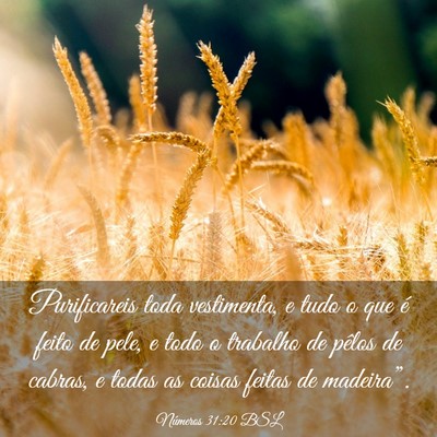Picture 03 - Números 31:20 BSL - Purificareis toda vestimenta, e tudo o que é - Bible Verse Picture